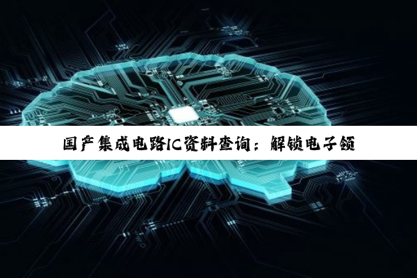 【科普解答】国产集成电路IC资料查询：解锁电子领域的密钥